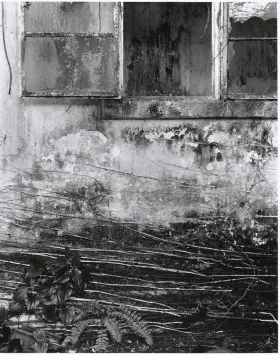 WERK No. 13 : JAN DE COCK (Spring/Summer 2006) - WORK