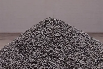 葵瓜子(2010) - 艾未未| 藏品| M+博物館