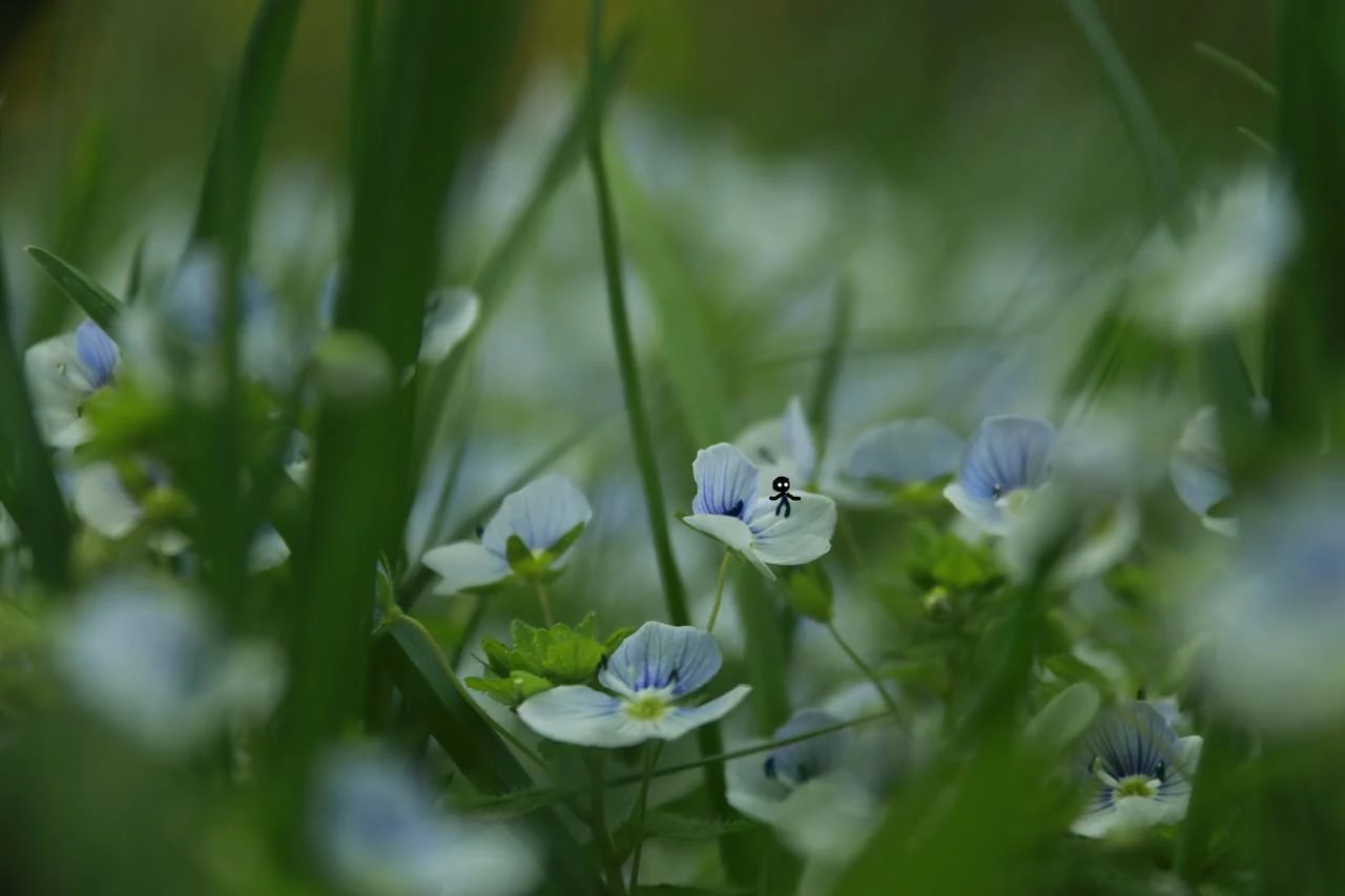 Small Flowers · Little Figures