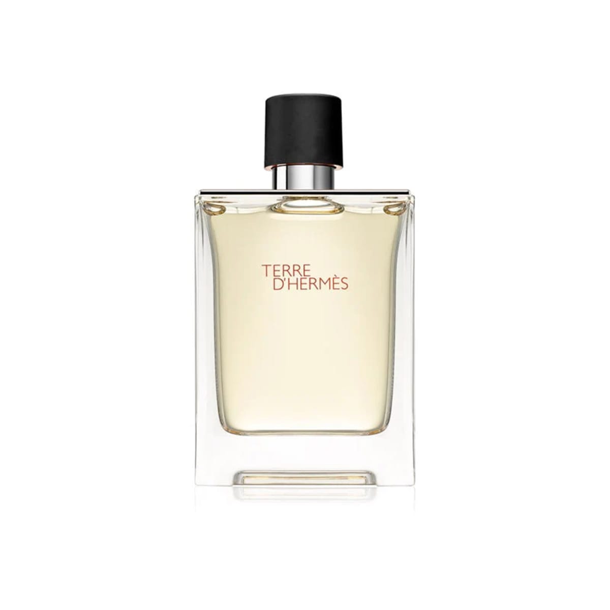 Hermès Terre d'Hermès Eau de Toilette