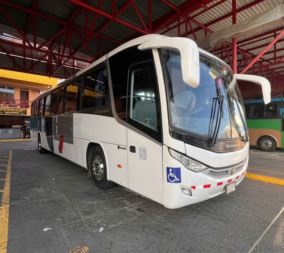 Public Bus MEPE