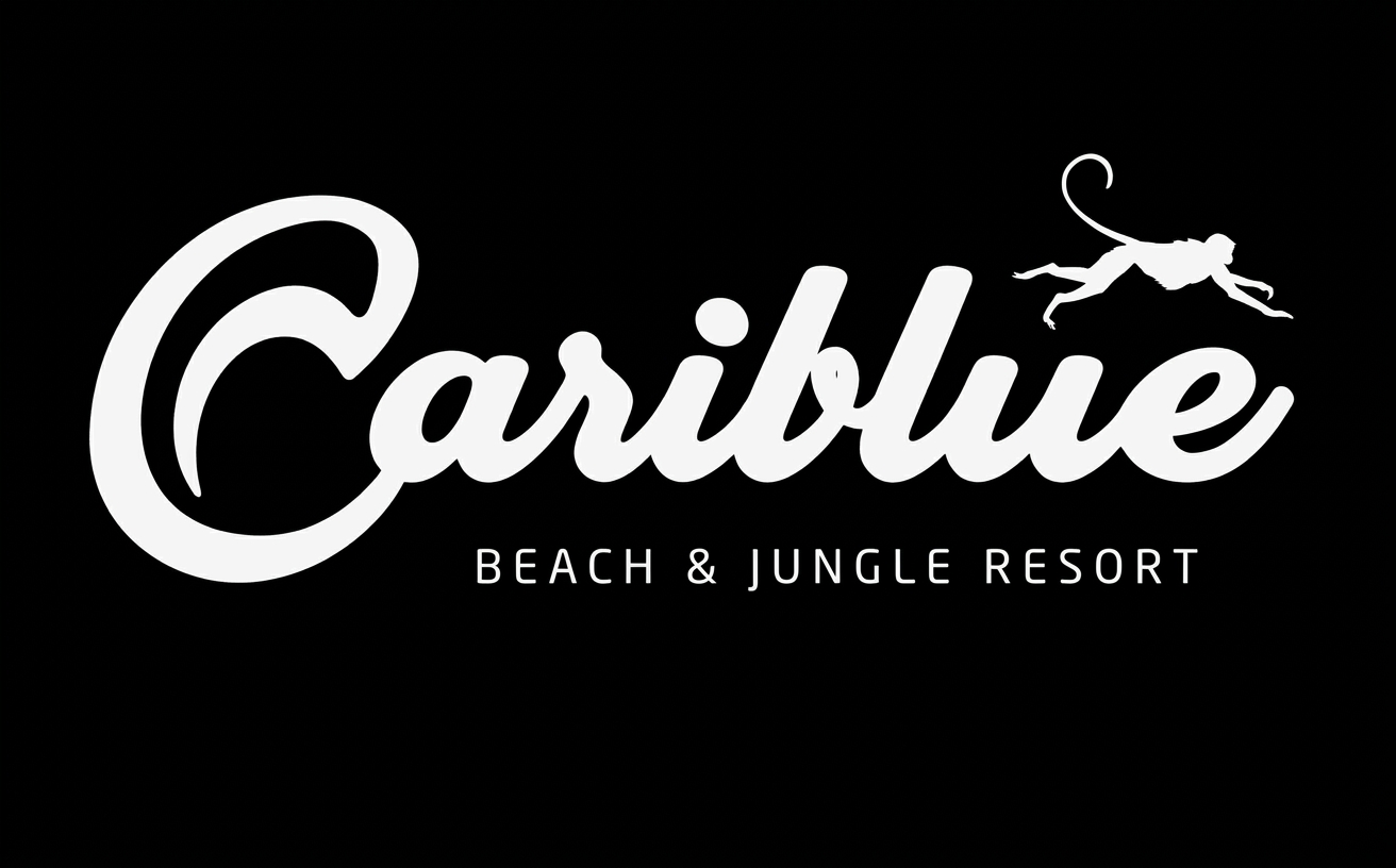 Cariblue Beach Hotel Day Pass