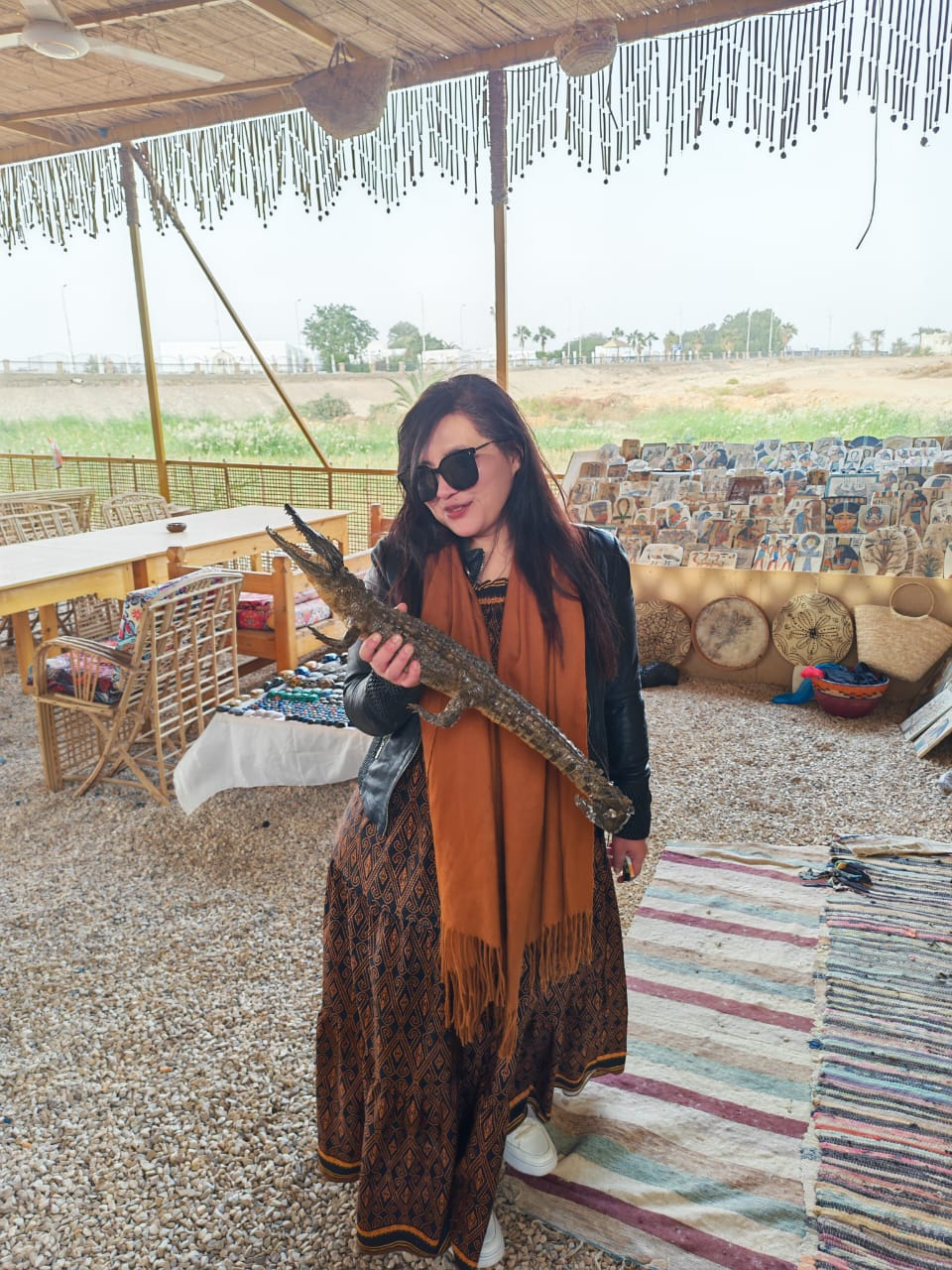 Nubian Village & Philae Temple Tour