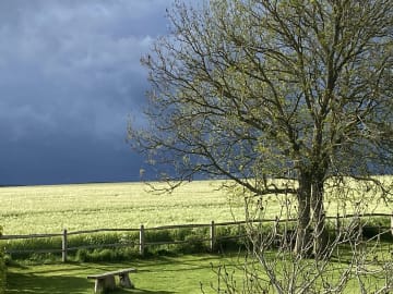 View of open field from my counselling room