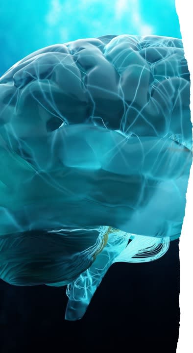 blue image of the human brain