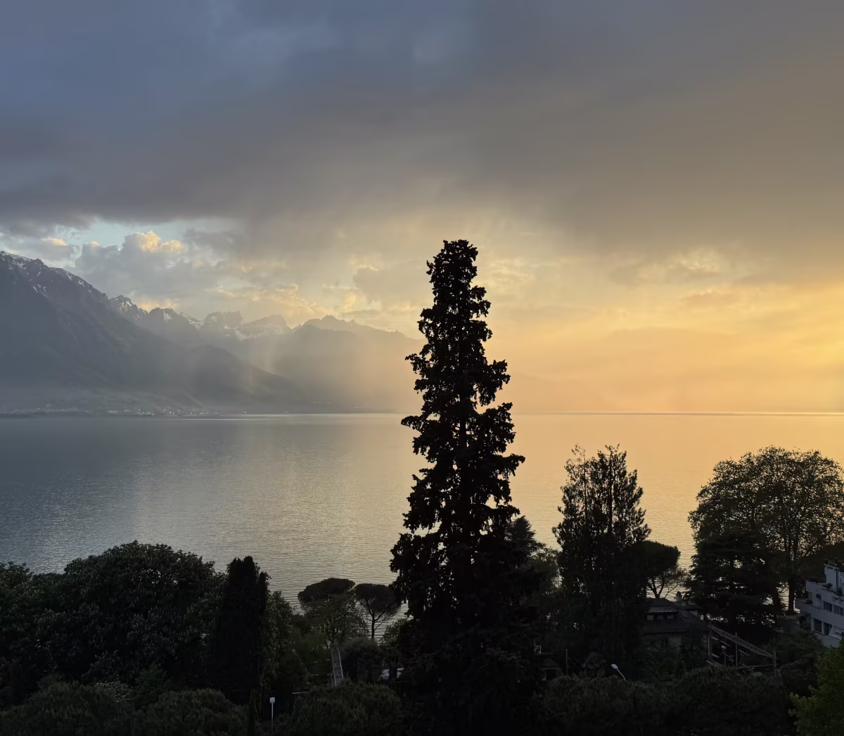 Image of Lake Geneva at sunset with trees in foreground