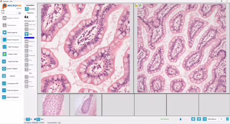 Screenshot of Micropix Cytocam software