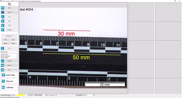 Screenshot from macro-imager software