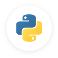 Python & AI Solutions