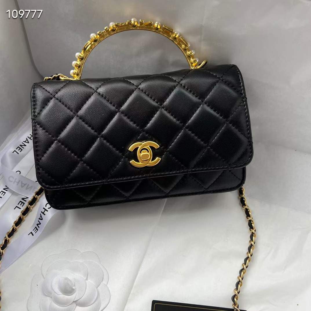 Chanel Bags 08