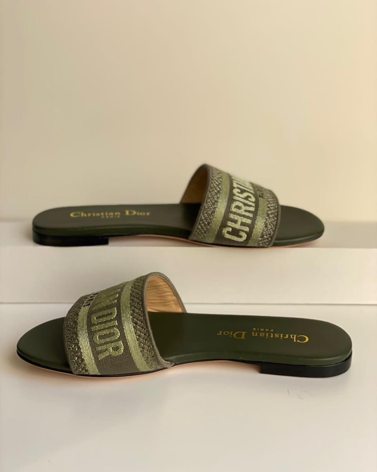 Christian Dior Shoes 04