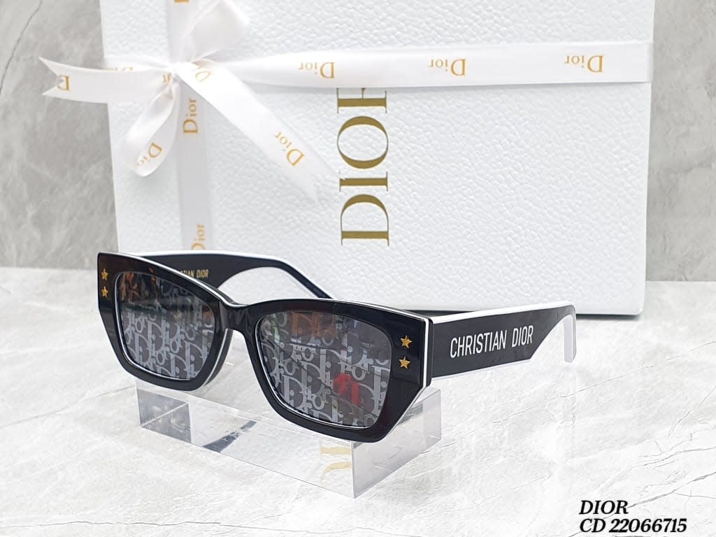 Dior Glasses 14
