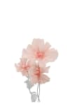 Blomma Lilly 3/S