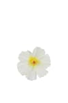 Blomma Lykke vägg