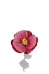 Blomma Signe