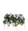Blomma för dagen mix