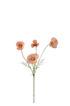 Rosenskära