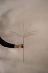 Kvist
