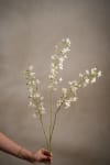 Blomkvist