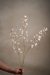 Blomkvist