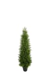 En