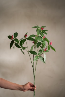 Bärkvist