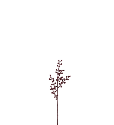 Bärkvist