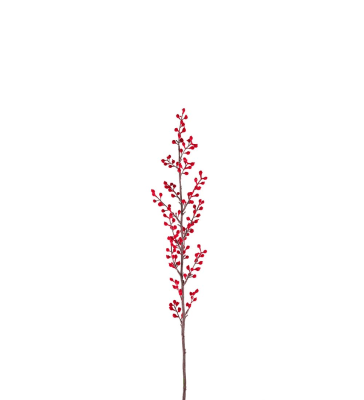 Bärkvist