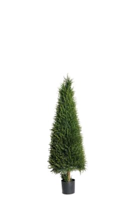 En