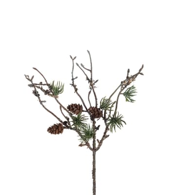 Lärkkvist