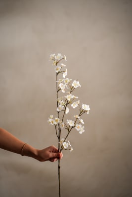 Persikoblom