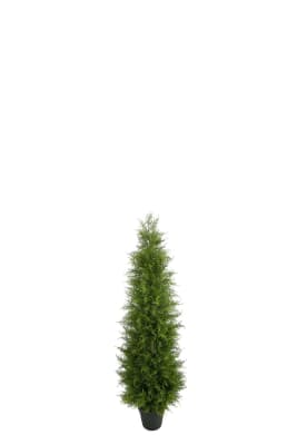 En