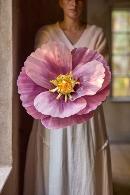 Blomma Signe