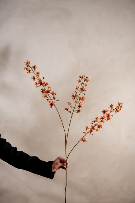 Blomkvist