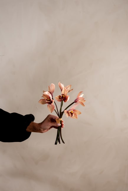 Cymbidium bunt