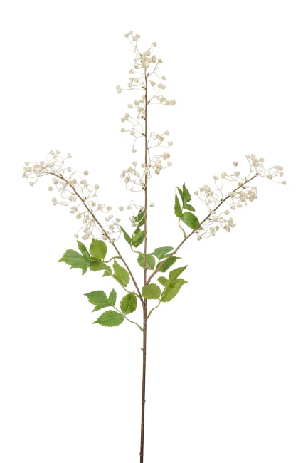 Blomkvist