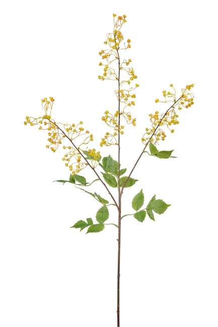 Blomkvist