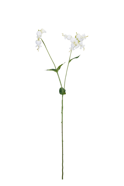 Smällglim
