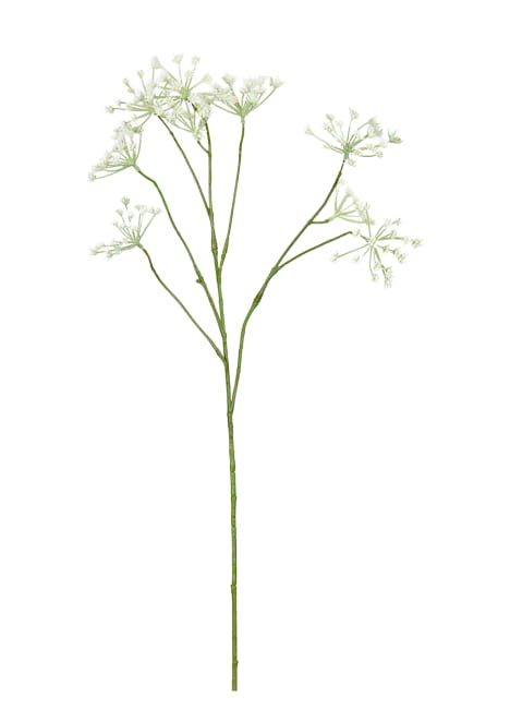 Blomstermorot