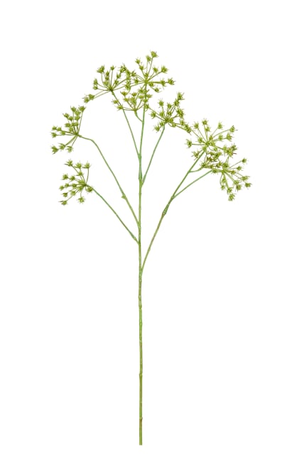 Blomstermorot