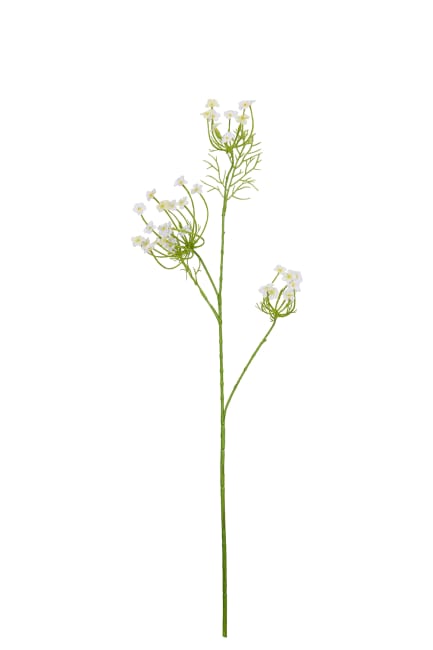 Blomkvist
