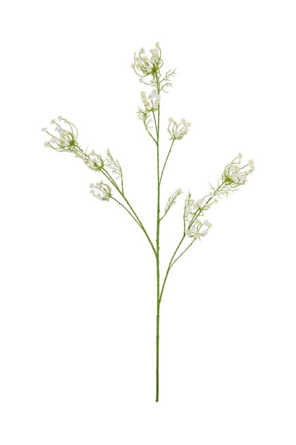 Blomkvist