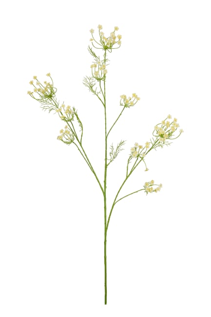 Blomkvist