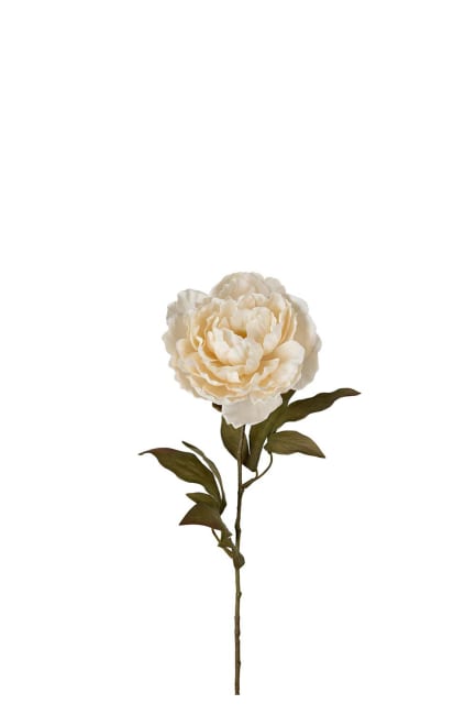 Pion