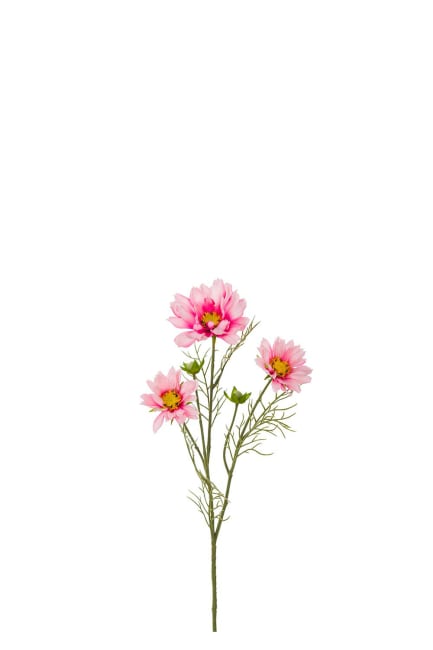Rosenskära