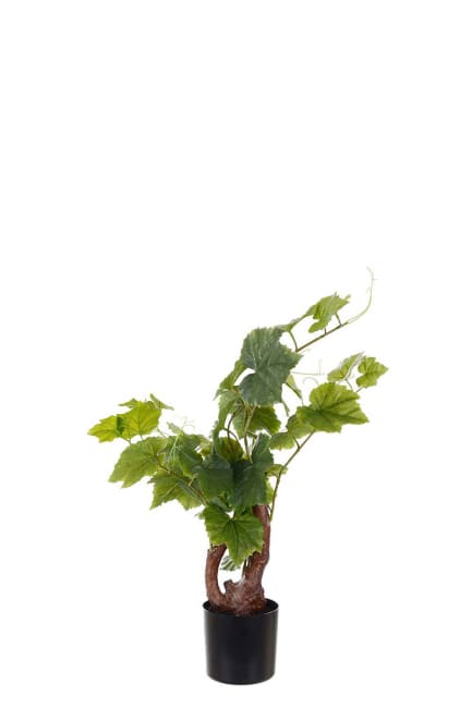Vinstock
