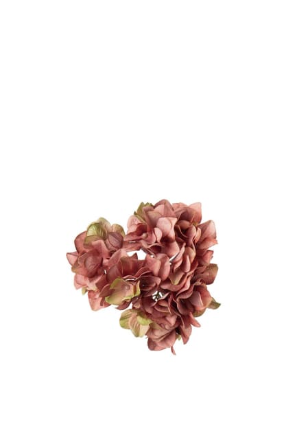 Hortensia med clips