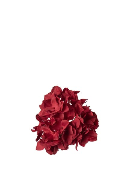 Hortensia med clips