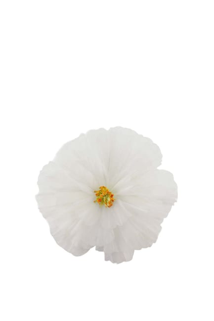 Blomma Daisy vägg