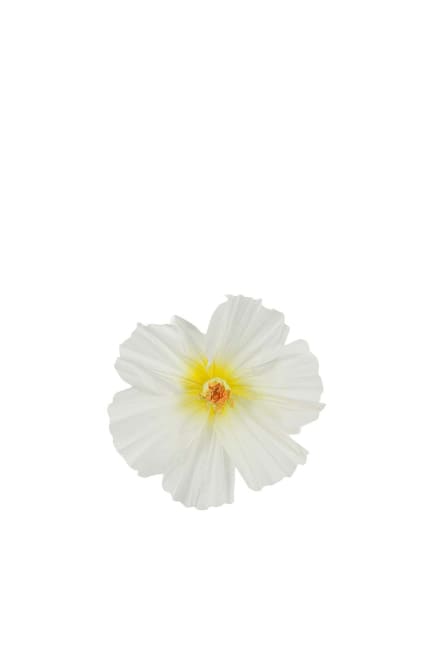 Blomma Lykke vägg